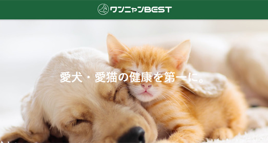 【お知らせ】大切な愛犬、愛猫におすすめのフードとデンタルケア用品をご紹介するサイト『ワンニャンBEST』に「イヌトレ」が紹介されました！